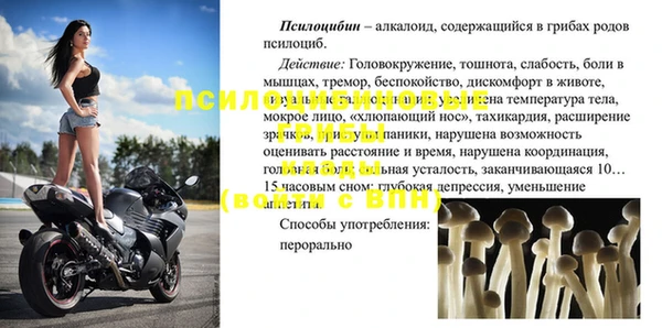 СК Богородицк