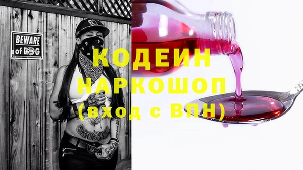 СК Богородицк