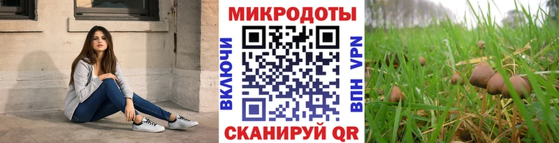 Купить где  Елабуга  Псилоцибиновые грибы мицелий 