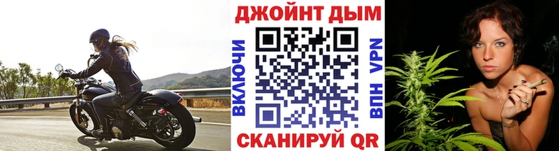 Каннабис OG Kush  Купить закладки  Елабуга 
